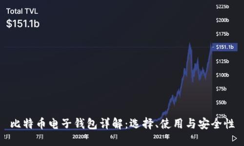 比特币电子钱包详解:选择、使用与安全性