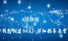 如何使用TP钱包创建BCS1：详细指导与常见问题解