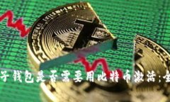 国外电子钱包是否需要用