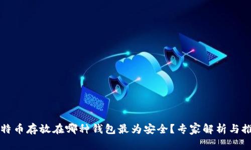 比特币存放在哪种钱包最为安全?专家解析与推荐