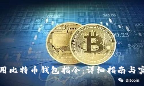 如何使用比特币钱包指令:详细指南与实用技巧
