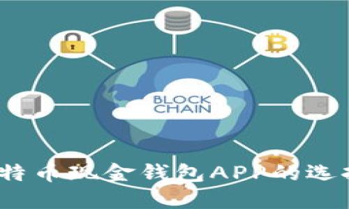 全面解读：比特币现金钱包APP的选择与使用指南