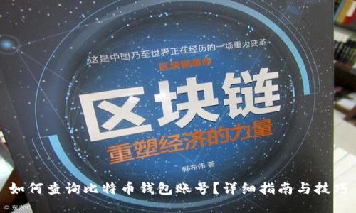 如何查询比特币钱包账号？详细指南与技巧