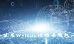 如何安全使用Wylcao比特币钱包:全面指南