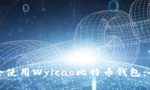 如何安全使用Wylcao比特币钱包:全面指南