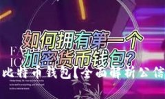 如何选择适合的比特币钱包?全面解析公信宝的