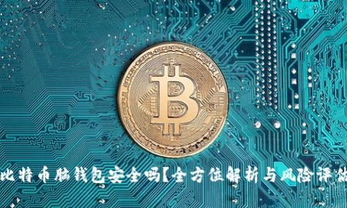 比特币脑钱包安全吗?全方位解析与风险评估