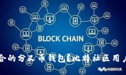 如何选择适合的分叉币钱包?比特社区用户的完整指南