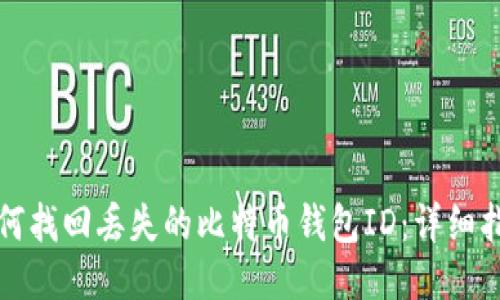 如何找回丢失的比特币钱包ID:详细指南