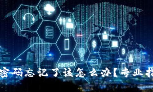 比特币冷钱包密码忘记了该怎么办？专业指南与解决方案