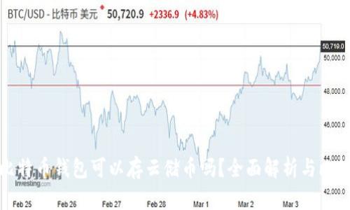 比特币钱包可以存云储币吗?全面解析与比较