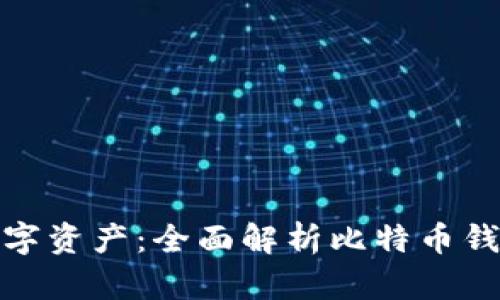 保护你的数字资产:全面解析比特币钱包安全验证