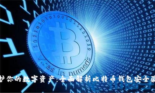 保护你的数字资产:全面解析比特币钱包安全验证